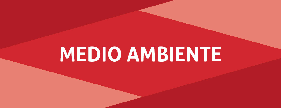 Medio Ambiente